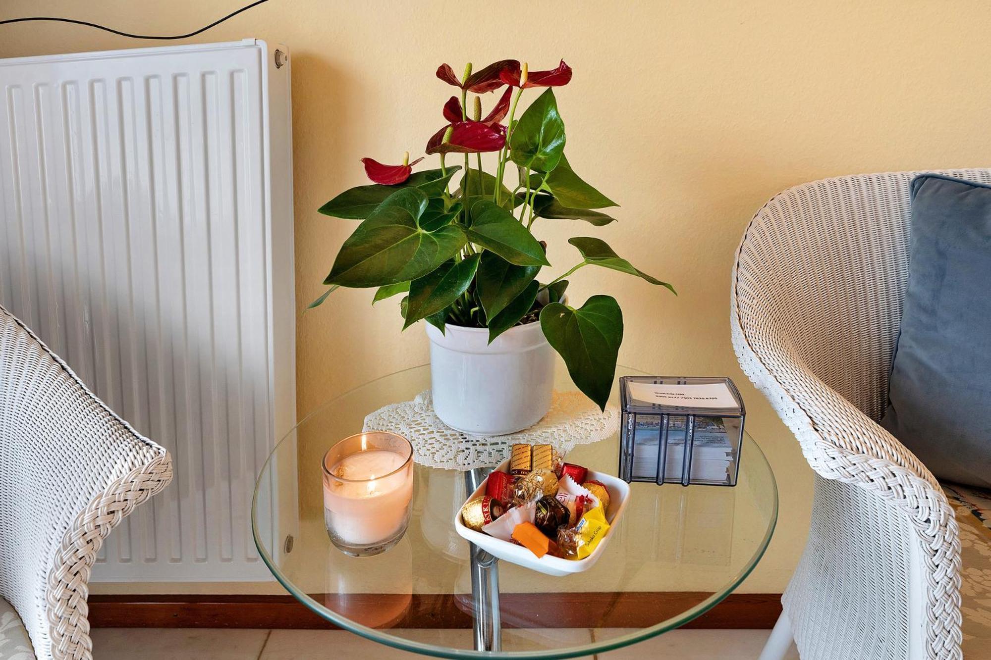 Ferienwohnung 1 Damp Dış mekan fotoğraf